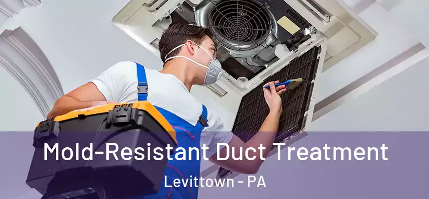  Mold-Resistant Duct Treatment Levittown - PA