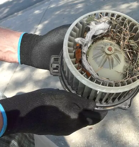 About Air Duct Rat Removal in Levittown, PA