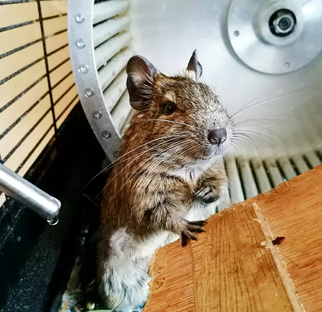 Why Homeowners & Businesses Trust Us Levittown, PA