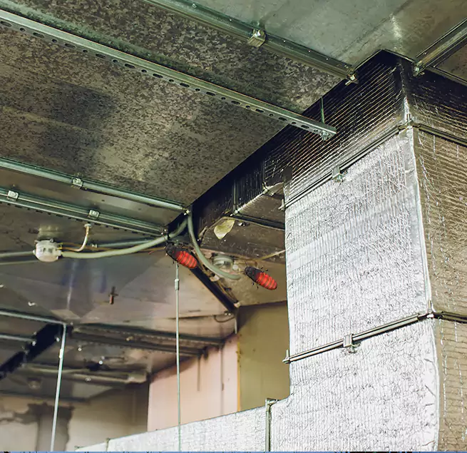 Why Homeowners & Businesses Trust Us Levittown, PA?