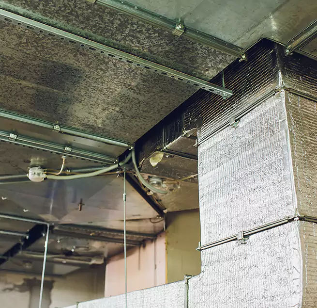 Why Homeowners & Businesses Trust Us in Levittown, PA?